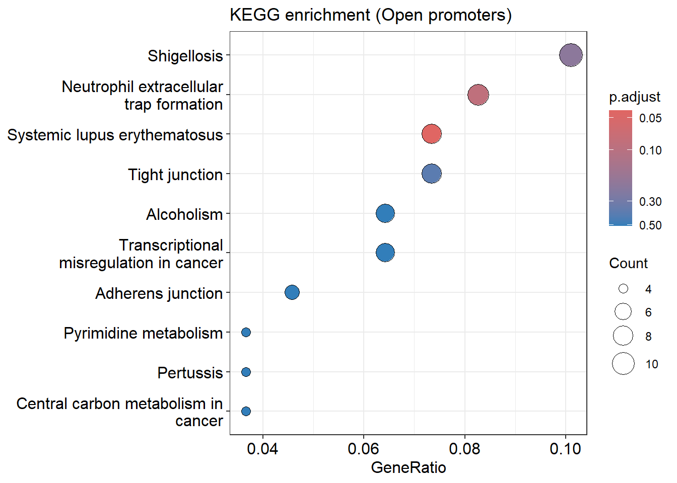 KEGG enrichment dot plot